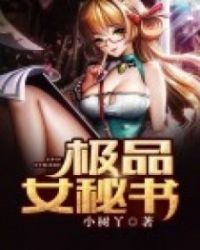 极品秘书高干